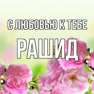 Открытка с именем Рашид Я люблю тебя. Открытки на каждый день с именами и  пожеланиями.