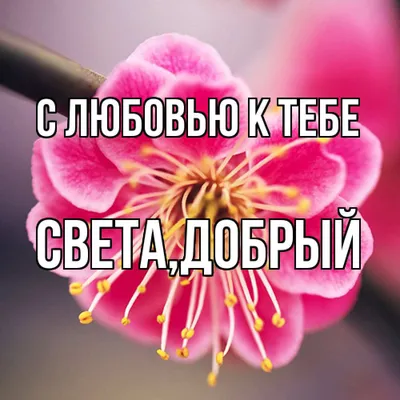 Красивая Женщина С Именем Света | TikTok