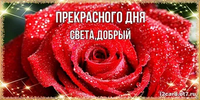 3д ночник - Светильник \"Мишка с именем Света\" - купить по выгодной цене |  Ночники Art-Lamps