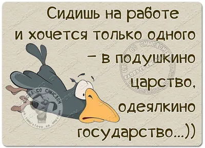 Слова со смыслом|Женский Юмор, Статусы, Цитаты | Юмор о работе, Цитаты,  Юмористические цитаты