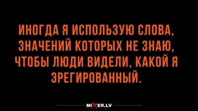 Красивые, мудрые и прикольные тосты на день рождения: более 40 вариантов