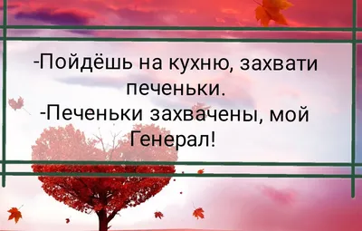 юмор #приколы #любовь #вирусный_пост Приколы , Юмор , Позитив , Любовь |  Приколы , Юмор , Позитив , Любовь | ВКонтакте