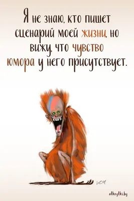 Сборник стихотворений о любви, о жизни и о людях. Как с юмором, так и без  (от 31.01.2022 г.) | ХОРОШИЙ КАНАЛ (СОЛО ТВ) - юмор и музыка | Дзен