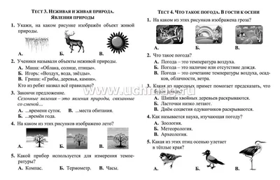 Разработка бинарного урока (окружающий мир + технология) по теме \"Красота  природная и рукотворная. Симметрия в окружающем мире\"