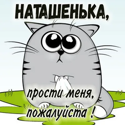 Письмо с извинениями перед клиентом: образцы, правила принесения извинений  в деловой переписке | Calltouch.Блог