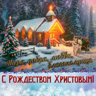 Всех поздравляем с католическим Рождеством!❄🎄❄✨💜❤💜 Пусть в вашем дома  будет тепло, уют, спокойствие и улыбки.🙂 С праздником!!!! Ваш… | Instagram