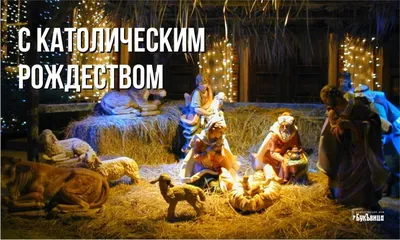 С Католическим Рождеством красивое видео поздравление✨❄️🎄 Открытка с  Рождеством Христовым!✨ - YouTube