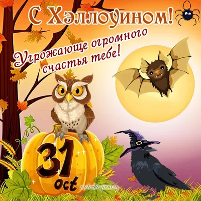 Хэллоуин: что нужно и нельзя делать ночью 31 октября | «Красный Север»