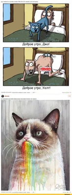 Картинки \"С Добрым Утром, Котик!\" (100+)