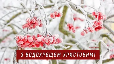 Есть в декабре чудесный праздник»-час фольклора. 2023, Верхнеуслонский  район — дата и место проведения, программа мероприятия.