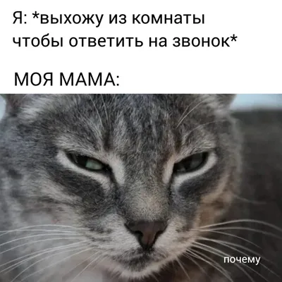 Чем вы занимаетесь? Погодите, вот вам список ответов | Пикабу