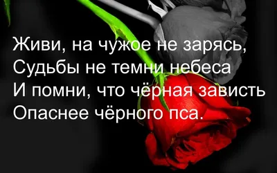 То что твое, найдет тебя». | Надписи в стиле граффити, Религиозный юмор,  Художественные узоры