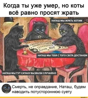 Эх, Наташа... | Пикабу