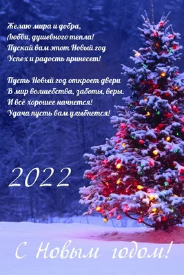С наступающим Новым 2022 годом и Рождеством! | Елизаветинское сельское  поселение