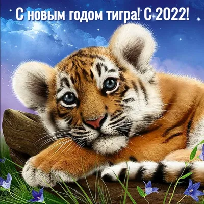 Поздравления с Новым годом-2022: короткие сообщения в стихах и прозе