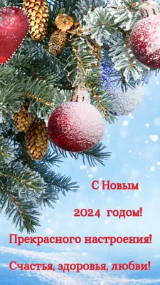 С Новым Годом 2024 | Всесезонный город-курорт \"Свияжские холмы\".  Официальный сайт.