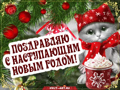 Купить открытку с конвертом «С Новым годом и Рождеством!» с доставкой по  Екатеринбургу - интернет-магазин «Funburg.ru»