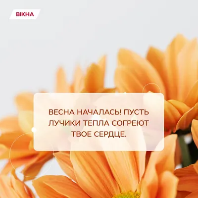 С первым днем весны 🌷 | Instagram