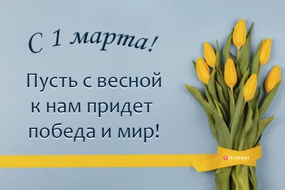 Поздравления с первым днем весны - прикольные и смешные открытки на 1 марта  - Апостроф