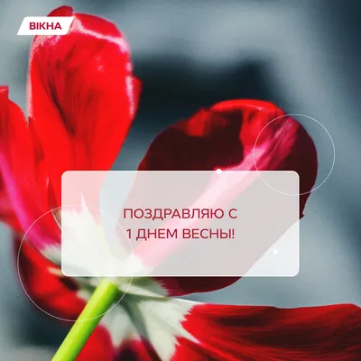 25 необычных картинок «С Первым днем весны!» – Блог Canva