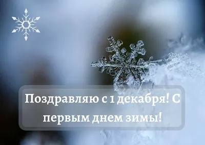 ❄ Поздравляю с 1 декабря, с Первым днем Зимы! ❄ Желаем свежих эмоций,  сказочного настроения, восхищения, радости,.. | ВКонтакте