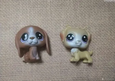 Hasbro Littlest Pet Shop - «Наша большая коллекция. Играем, фантазируем,  развиваемся) Больше 20 игрушек» | отзывы