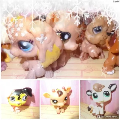 Aliexpress Freeshipping To World 20 pcs New Hasbro Dolls.baby doll,Hasbro  Littlest Pet Shop,style mix order Маленький Зоомагазин - «Вау, Вау, Вау!!!  Эти игрушки по последней детской моде. Ваши дети еще не болеют