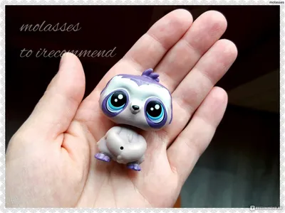 Hasbro Littlest Pet Shop - «Наша большая коллекция. Играем, фантазируем,  развиваемся) Больше 20 игрушек» | отзывы