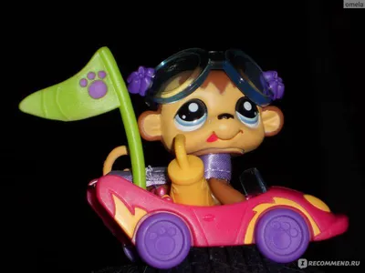 LPS(littlest pet shop) 2024 | ВКонтакте