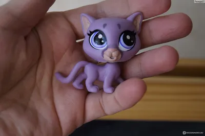 Hasbro Littlest Pet Shop - «Литлест Пет шоп в коктейльной коробочке -  деньги на ветер» | отзывы