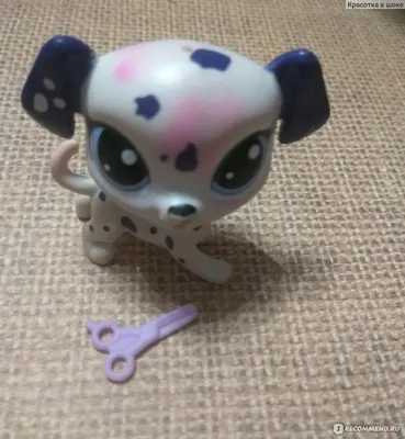 Hasbro Littlest Pet Shop - «Попался на глаза в день скидки и я не устояла.»  | отзывы