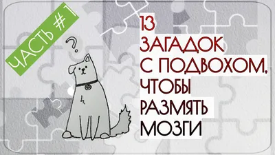 Книга \"Загадки с подвохом\", 16 стр. - купить с доставкой по выгодным ценам  в интернет-магазине OZON (867676335)