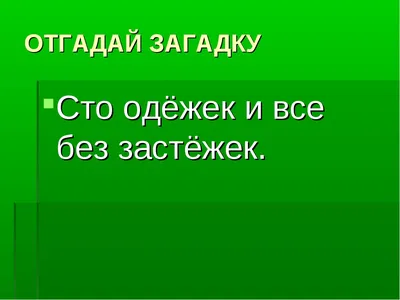 22 фотографии с подвохом, на которых каждый увидит что-то свое - ЯПлакалъ