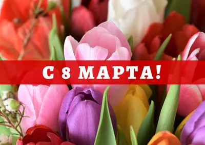 Поздравления с 8 марта - Стихи и открытки на 8 Марта - СМС на Восьмое марта  - Апостроф