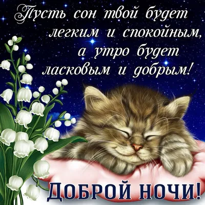 Доброй ночи!Сладких снов!#добрыепожелания #пожелания #отдуши💞💞💞💞💞 |  TikTok