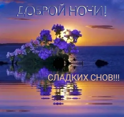 Открытки \"Спокойной ночи!\" для любимого (155 шт.)