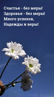 С наилучшими пожеланиями - купить подарочную открытку в Москве с доставкой  по низкой цене!