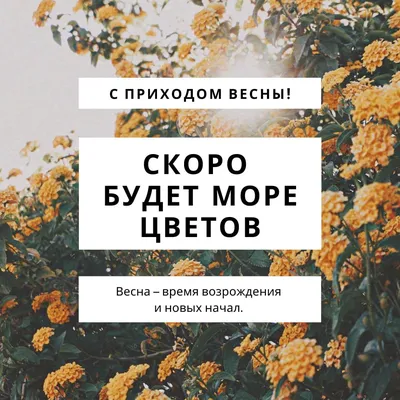 Красивые открытки \"Доброе утро! С первым днем весны\", \"С началом весны\" |  Краски жизни | Дзен