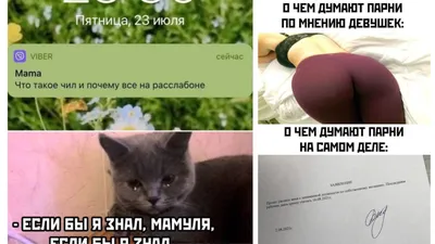 Прикольные картинки с надписями и о чем думают парни на самом деле | Mixnews