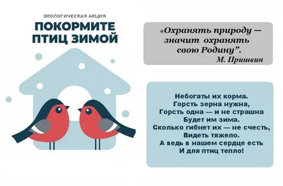 Стенгазета «Как помочь птицам зимой?» (1 фото). Воспитателям детских садов,  школьным учителям и педагогам - Маам.ру