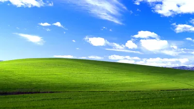 Скачать обои Windows Xp Bliss, Windows, Xp, Bliss в разрешении 1600x900 на  рабочий стол