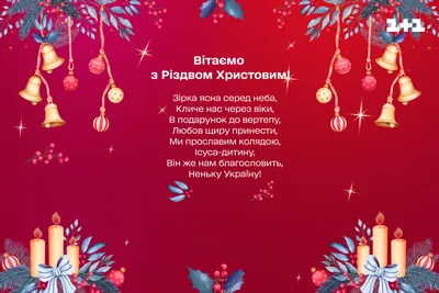 Рождество в Мытищах: в каких церквях и храмах пройдут службы в 2022 году -  Обзоры - РИАМО в Мытищах