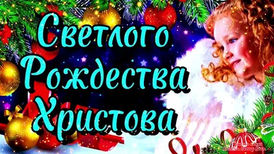 Католическое Рождество 2019: красивые поздравления, открытки, смс и стихи -  Телеграф