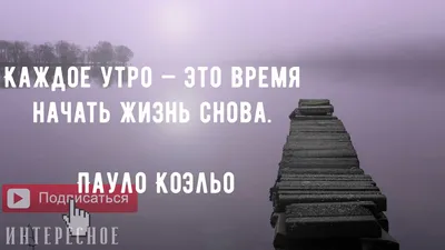 100 необычных цитат про жизнь в картинках – Блог Canva