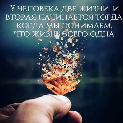 Позитивные цитаты и золотые мысли о жизни, любви и счастье! | Смешно,  полезно, интересно! | Дзен