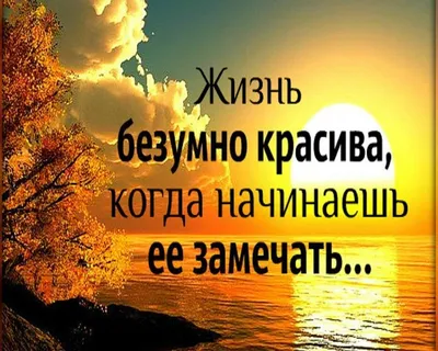 50 мотивирующих и вдохновляющих цитат на каждый день - Чемпионат