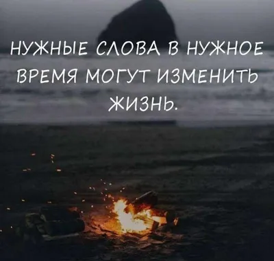 Мудрые цитаты и афоризмы в картинках (60 картинок) | Цитаты, Мудрые цитаты,  Жизненные поговорки