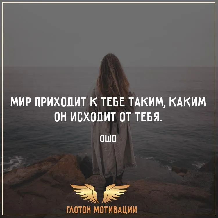 Лучшие цитаты Ошо и мудрые высказывания о жизни, любви, человеке | Глоток Мотивации | Дзен Лучшие цитаты Ошо и мудрые высказывания о жизни, любви, человеке | Глоток Мотивации | Дзен