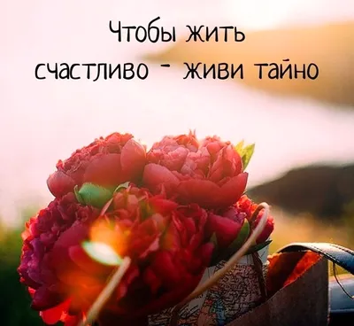 Цитаты учат жить. Основы цитатотерапии для повседневной жизни, Александр  Викторович Киселев – скачать книгу fb2, epub, pdf на ЛитРес