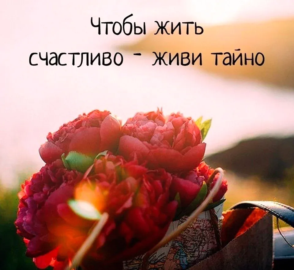 Цитаты учат жить. Основы цитатотерапии для повседневной жизни, Александр Викторович Киселев – скачать книгу fb2, epub, pdf на ЛитРес Цитаты учат жить. Основы цитатотерапии для повседневной жизни, Александр Викторович Киселев – скачать книгу fb2, epub, pdf на ЛитРес